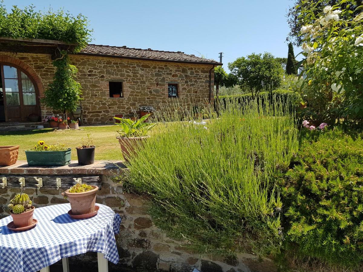 Villa La Torricella 몬테 산 사비노 외부 사진