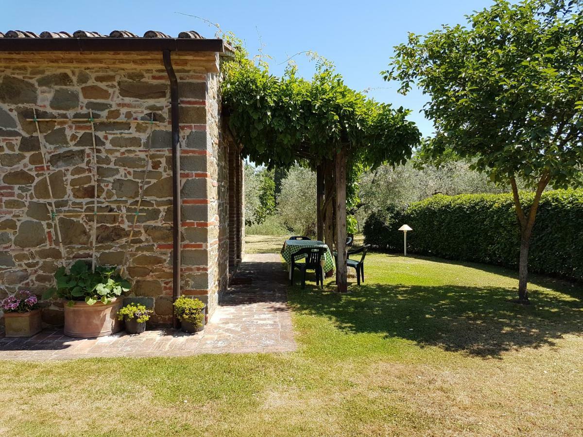 Villa La Torricella 몬테 산 사비노 외부 사진